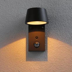 Paulmann Capea LED buitenwandlamp antraciet aluminium