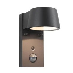 Paulmann Capea LED buitenwandlamp antraciet aluminium