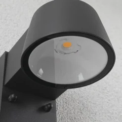 Paulmann Capea LED buitenwandlamp antraciet aluminium