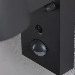 Paulmann Capea LED buitenwandlamp antraciet aluminium