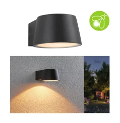 Paulmann Capea LED buitenwandlamp antraciet aluminium