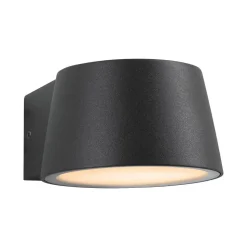 Paulmann Capea LED buitenwandlamp antraciet aluminium