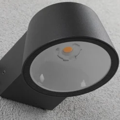 Paulmann Capea LED buitenwandlamp antraciet aluminium