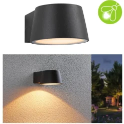 Paulmann Capea LED buitenwandlamp antraciet aluminium
