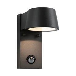 Paulmann Capea LED buitenwandlamp met sensor