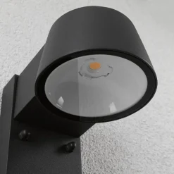 Paulmann Capea LED buitenwandlamp met sensor