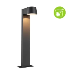 Paulmann Capea LED tuinpadverlichting antraciet aluminium