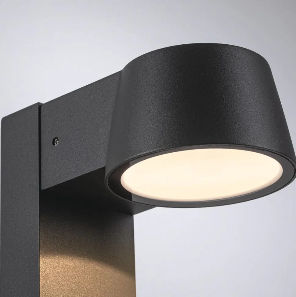 Paulmann Capea LED tuinpadverlichting antraciet aluminium