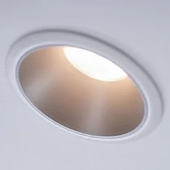 Paulmann Cole LED Spotlight, zilver-wit