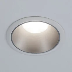 Paulmann Cole LED Spotlight, zilver-wit