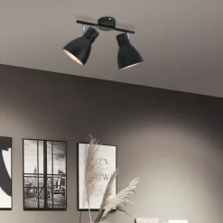 Paulmann Davy plafondlamp, zwart, 2-lamps