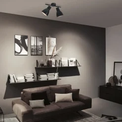 Paulmann Davy plafondlamp, zwart, 2-lamps