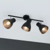 Paulmann Davy plafondlamp, zwart, 3-lamps