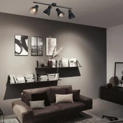 Paulmann Davy plafondlamp, zwart, 4-lamps