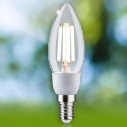 Paulmann Eco-Line LED kaars E14 2,5W 525lm 3.000K