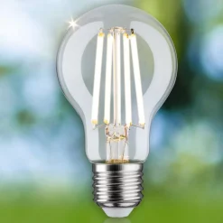 Paulmann Eco-Line LED lamp E27 4W 840lm 3.000K