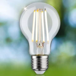 Paulmann Eco-Line LED lamp E27 2,5W 525lm 3.000K