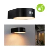 Paulmann Eileen buitenwandlamp solar met sensor