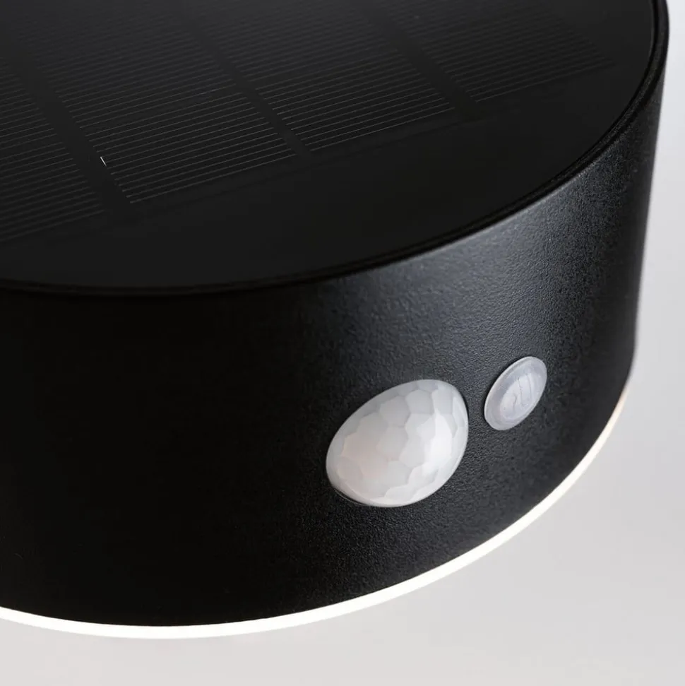 Paulmann Eileen buitenwandlamp solar met sensor