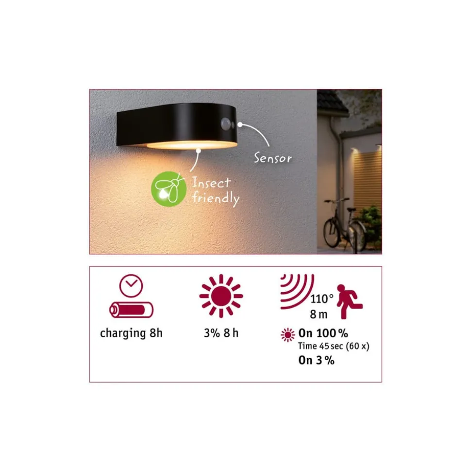 Paulmann Eileen buitenwandlamp solar met sensor