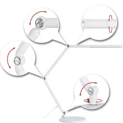 Paulmann FlexBar LED bureaulamp wit