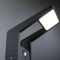 Paulmann Juntea LED tuinpadverlichting, aluminium, antraciet, sensor