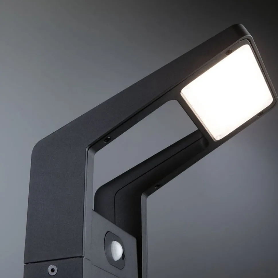 Paulmann Juntea LED tuinpadverlichting, aluminium, antraciet, sensor