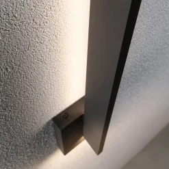 Paulmann LED buiten wandlamp Levka, antraciet, 49 cm aluminium IP44