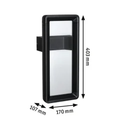 Paulmann LED buiten wandlamp Reana, antraciet IP44