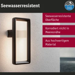 Paulmann LED buiten wandlamp Reana, antraciet IP44