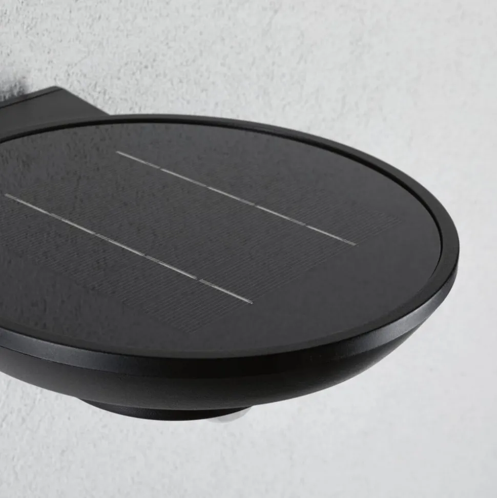 Paulmann LED buiten wandlamp Bordola, sensor, antraciet