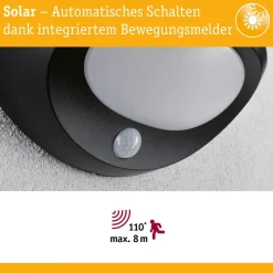 Paulmann LED buiten wandlamp Sorova, sensor, antraciet