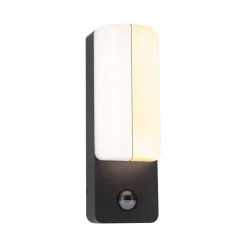 Paulmann LED buitenwandlamp Bonnie, aluminium, 2200/3000K, sensor
