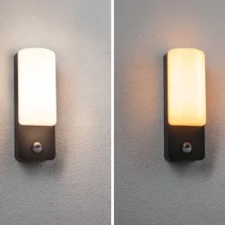 Paulmann LED buitenwandlamp Bonnie, aluminium, 2200/3000K, sensor