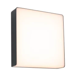 Paulmann LED buitenwandlamp Azalena, sensor, antraciet