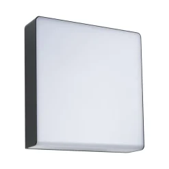 Paulmann LED buitenwandlamp Azalena, sensor, antraciet