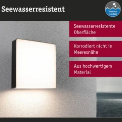 Paulmann LED buitenwandlamp Azalena, sensor, antraciet