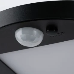 Paulmann LED buitenwandlamp solar Ryse antraciet