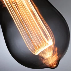 Paulmann LED lamp E27 3,5W Arc 1.800K ST64 rook