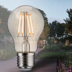 Paulmann LED lamp Filament E27 4W 2.200 K