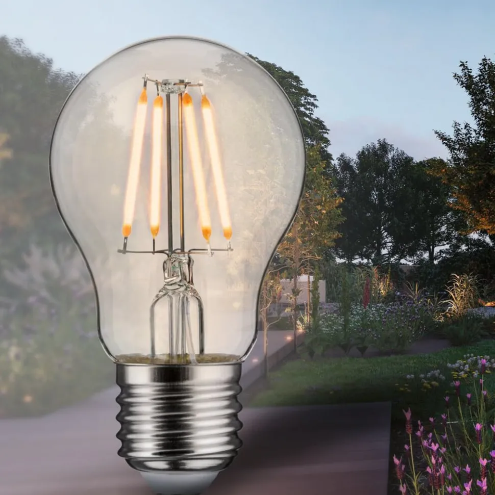 Paulmann LED lamp Filament E27 4W 2.200 K