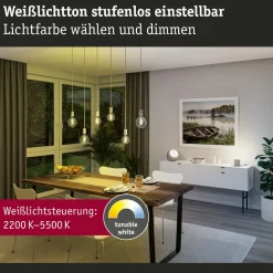 Paulmann LED lamp ZigBee E27 7,5W CCT dim goud