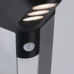 Paulmann LED solar-tuinverlichting Soley antraciet
