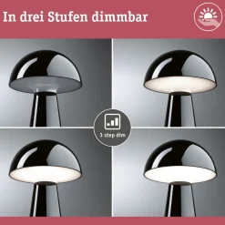 Paulmann LED tafellamp Onzo, zwart, kunststof, IP44