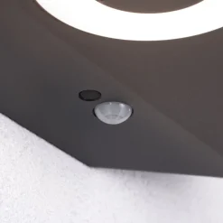 Paulmann LED wandlamp Silma antraciet 2-lamps IP44