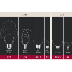 Paulmann LED-bol E27 G125 Inner Shape 4W goud