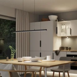 Paulmann Lento LED hanglamp ZigBee CCT dim zwart