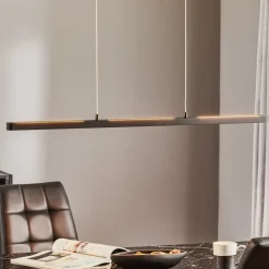 Paulmann Lento LED hanglamp zwart dimbaar Up-&Downlight