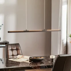 Paulmann Lento LED hanglamp zwart dimbaar Up-&Downlight