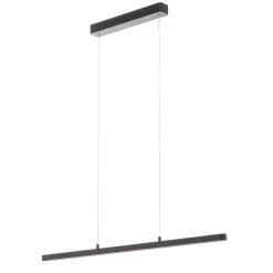 Paulmann Lento LED hanglamp zwart dimbaar Up-&Downlight